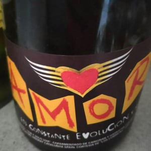 Amor - Solo El Amor Salvara Al Mundo - Pablo Quiroga 