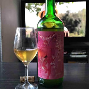 Love Potion - Clos Lenticus - Manel Aviñó -2017