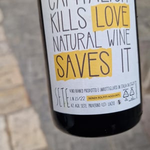 Capitalism Kills Love Natural Wine Saves It - Sete - Vini Naturali - emiliano-giorgi-arcangelo-galuppi-martina-dalessio -2020