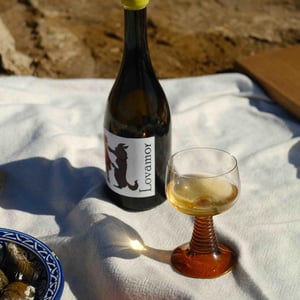 Lovamor - Bodegas y Viñedos Maestro Tejero - alfredo-maestro-tejero