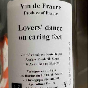 Lovers' dance on caring feet - Anders Frederik Steen & Anne Bruun Blauert - Anders Frederik Steen & Anne Bruun Blauert -2021
