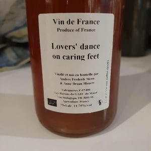 Lovers' dance on caring feet - Anders Frederik Steen & Anne Bruun Blauert - anders-frederik-steen-anne-bruun-blauert -2021