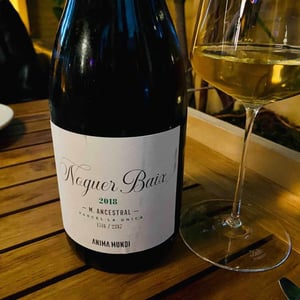 Noguer Baix (Espumoso) - Anima Mundi - Agustí Torelló Roca 