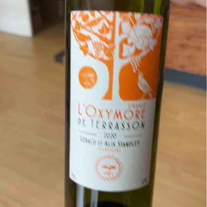 L’Oxymore Orange de Terrasson - Chateau Terrasson - gerald-alix-standley -2020