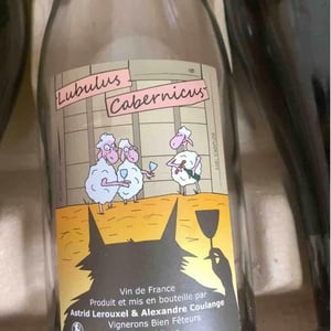 Lubulus Cabernicus - Domaine Thuronis - Vigneron Bien Fêteur - Alexandre Coulange & Astrid Lerouxel -2019