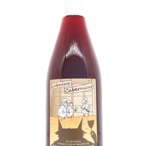 Lubulus Cabernicus - Domaine Thuronis - Vigneron Bien Fêteur - alexandre-coulange-astrid-lerouxel -2019