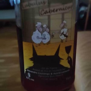 Lubulus Cabernicus - Domaine Thuronis - Vigneron Bien Fêteur - alexandre-coulange-astrid-lerouxel -2019