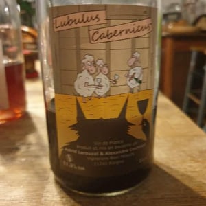 Lubulus Cabernicus - Domaine Thuronis - Vigneron Bien Fêteur - Alexandre Coulange & Astrid Lerouxel -2019