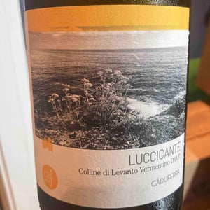 Luccicante - Cà du Ferrà - Davide Zoppi & Aida Forgione -2022