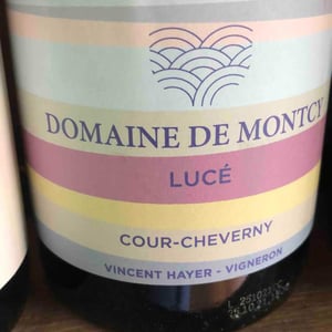 Lucé Cour Cheverny - Domaine de Montcy - Vincent Hayer -2019
