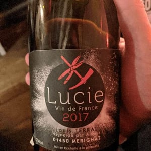 Lucie 2017 - Domaine Louis Terral - Louis Terral