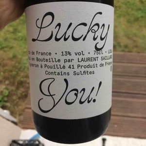 Laurent Saillard - Laurent Saillard - Lucky You