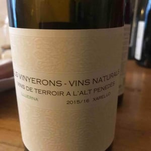 Lluerna - Els Vinyerons / Sin Project - Amós Bañeres Merinero & Alex Ruiz Masachs 