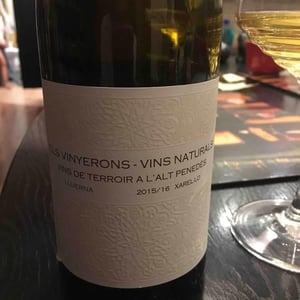 Lluerna - Els Vinyerons / Sin Project - amos-baneres-merinero-alex-ruiz-masachs