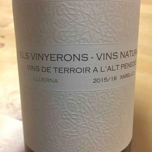 Lluerna - Els Vinyerons / Sin Project - amos-baneres-merinero-alex-ruiz-masachs