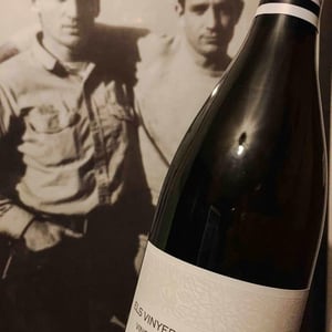 Els Vinyerons / Sin Project - Amós Bañeres Merinero & Alex Ruiz Masachs - Lluerna