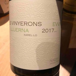 Els Vinyerons / Sin Project - Amós Bañeres Merinero & Alex Ruiz Masachs - Lluerna