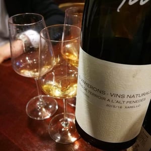 Lluerna - Els Vinyerons / Sin Project - Amós Bañeres Merinero & Alex Ruiz Masachs 
