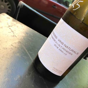 Lluerna - Els Vinyerons / Sin Project - Amós Bañeres Merinero & Alex Ruiz Masachs 