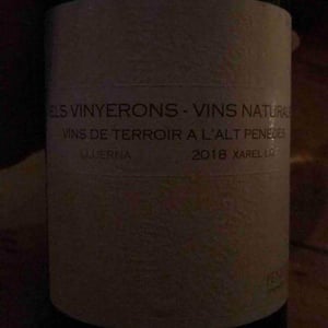 Els Vinyerons / Sin Project - Amós Bañeres Merinero & Alex Ruiz Masachs - Lluerna