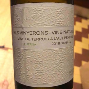 Els Vinyerons / Sin Project - Amós Bañeres Merinero & Alex Ruiz Masachs - Lluerna