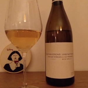 Els Vinyerons / Sin Project - Amós Bañeres Merinero & Alex Ruiz Masachs - Lluerna
