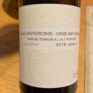 Els Vinyerons / Sin Project - Amós Bañeres Merinero & Alex Ruiz Masachs - Lluerna