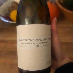 Els Vinyerons / Sin Project - Amós Bañeres Merinero & Alex Ruiz Masachs - Lluerna