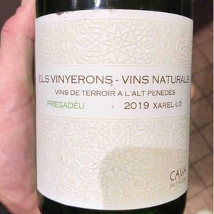 Lluerna - Els Vinyerons / Sin Project - amos-baneres-merinero-alex-ruiz-masachs