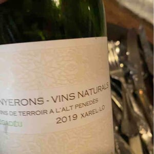 Lluerna - Els Vinyerons / Sin Project - amos-baneres-merinero-alex-ruiz-masachs