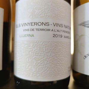 Lluerna - Els Vinyerons / Sin Project - Amós Bañeres Merinero & Alex Ruiz Masachs 
