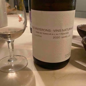 Els Vinyerons / Sin Project - Amós Bañeres Merinero & Alex Ruiz Masachs - Lluerna