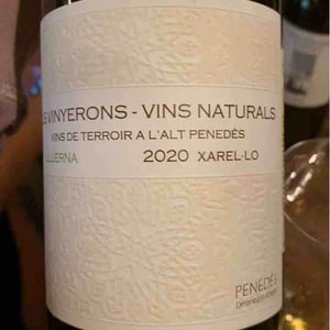 Lluerna - Els Vinyerons / Sin Project - amos-baneres-merinero-alex-ruiz-masachs