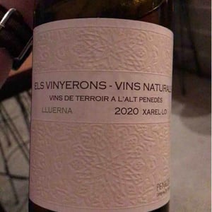 Els Vinyerons / Sin Project - Amós Bañeres Merinero & Alex Ruiz Masachs - Lluerna