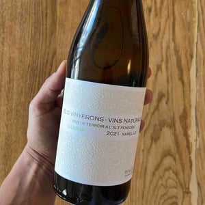 Els Vinyerons / Sin Project - Amós Bañeres Merinero & Alex Ruiz Masachs - Lluerna