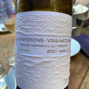 Lluerna - Els Vinyerons / Sin Project - Amós Bañeres Merinero & Alex Ruiz Masachs 