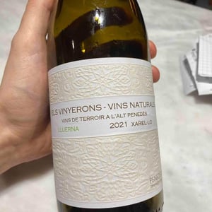 Lluerna - Els Vinyerons / Sin Project - amos-baneres-merinero-alex-ruiz-masachs