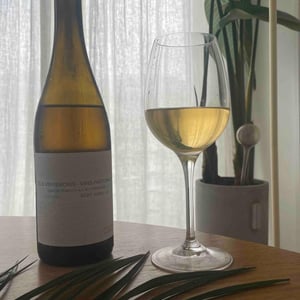 Els Vinyerons / Sin Project - Amós Bañeres Merinero & Alex Ruiz Masachs - Lluerna