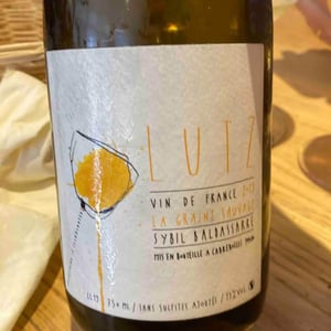 Lutz - La Graine Sauvage - Sybil Baldassarre 