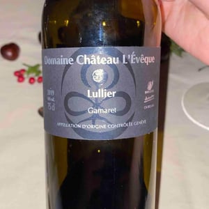 Gamaret « Lullier » - Domaine Château L'Evêque - Martine et Alexandre Mévaux 