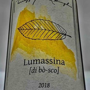 Terrazze Singhie - Sara Polo & Mauro Migliavacca - Lumassina