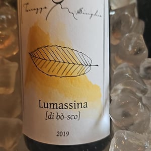 Lumassina - Terrazze Singhie - sara-polo-mauro-migliavacca