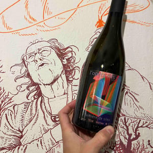 Les Vignes de l'Angevin - Jean-Pierre Robinot - Lumière de Silex