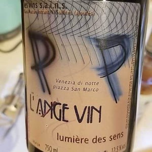 Les Vignes de l'Angevin - Jean-Pierre Robinot - Lumière des Sens