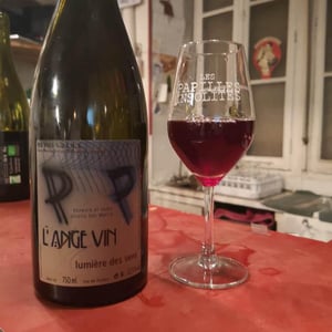 Les Vignes de l'Angevin - Jean-Pierre Robinot - Lumière des Sens