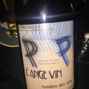 Les Vignes de l'Angevin - Jean-Pierre Robinot - Lumière des Sens