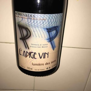 Les Vignes de l'Angevin - Jean-Pierre Robinot - Lumière des Sens