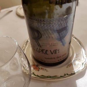 Les Vignes de l'Angevin - Jean-Pierre Robinot - Lumière des Sens