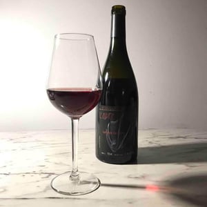 Les Vignes de l'Angevin - Jean-Pierre Robinot - Lumière des Sens