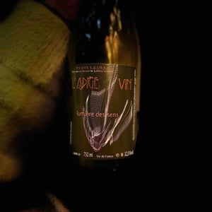 Les Vignes de l'Angevin - Jean-Pierre Robinot - Lumière des Sens